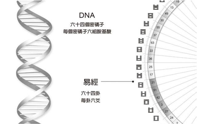 免费易经命盘全占星