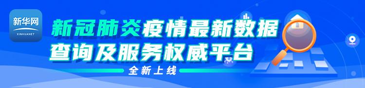 农历2001年十月初二生辰八字