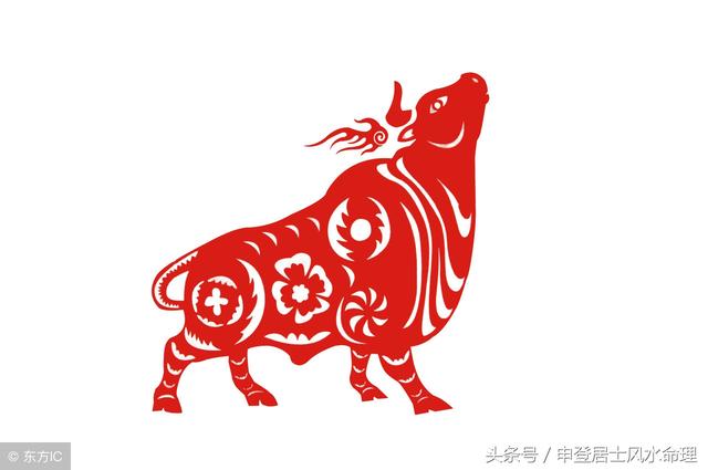 生肖牛的八字是什么