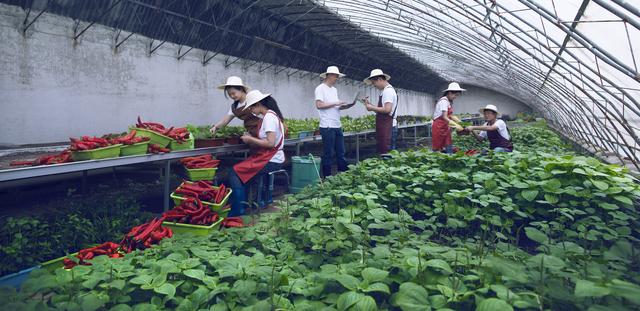 八字喜金水适合在高原气候生活吗