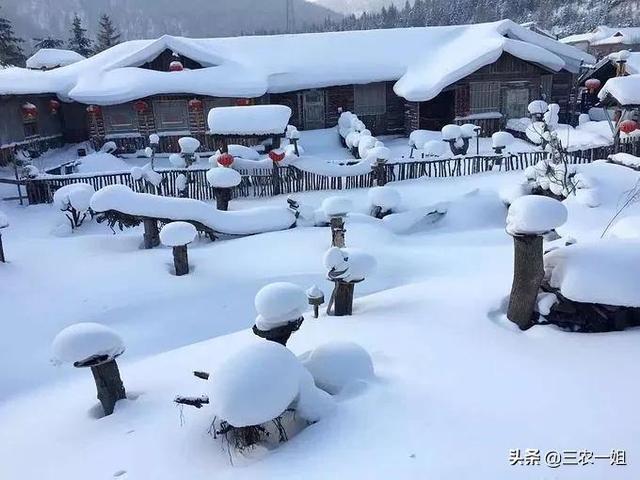 八字预测天气预报