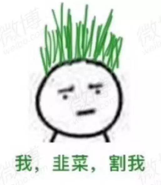 八字排盘知乎