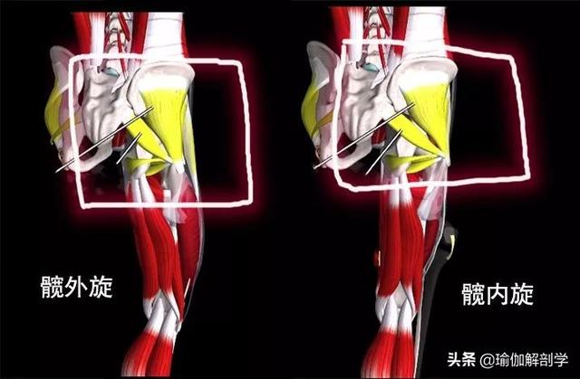 瑜伽俯卧八字扭转式要点