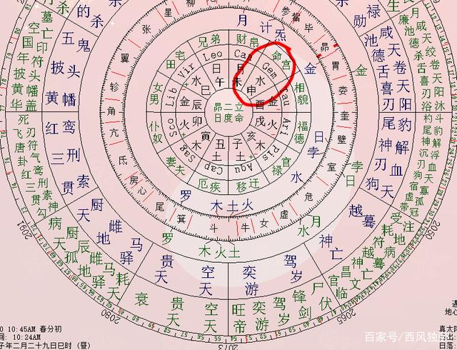 占星八字网站加盟 八字预测网络平台