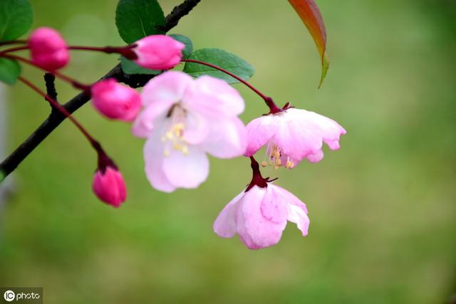 南方八字用神版破解