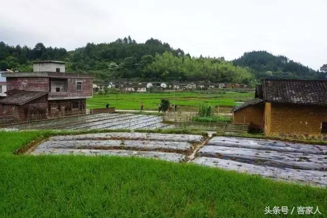 算命免费鸡公相见什么意思