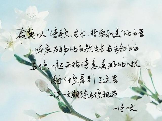 含浅陌的八字句子