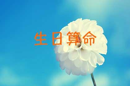 阴历八字测试