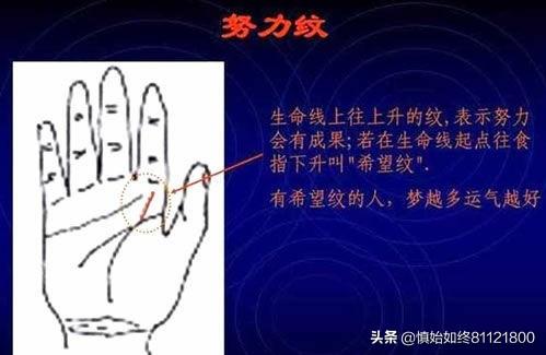 扫手相算命免费版