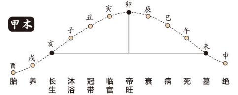 八字算命演申冲