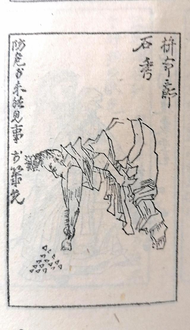 花绣腿八字开是什么生肖