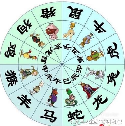 怎么用孩子生辰八字取名字