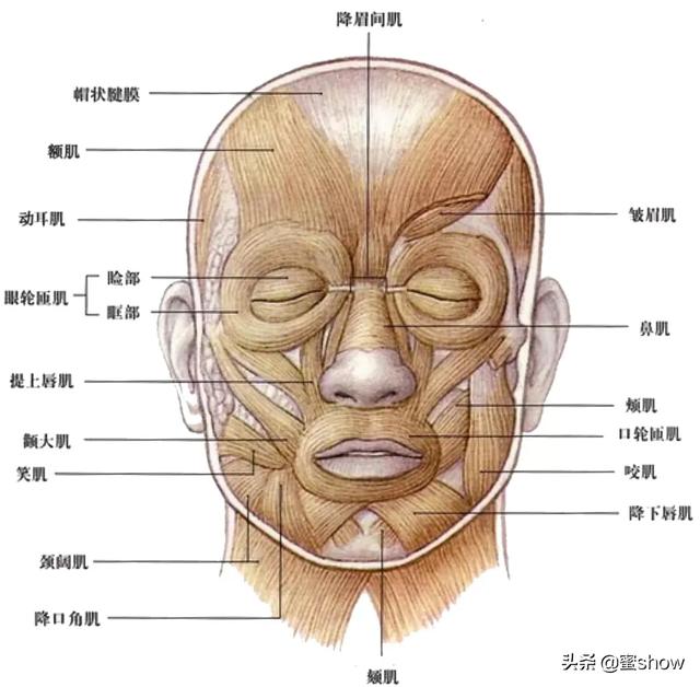 笑起来鼻子两边有八字怎么去除