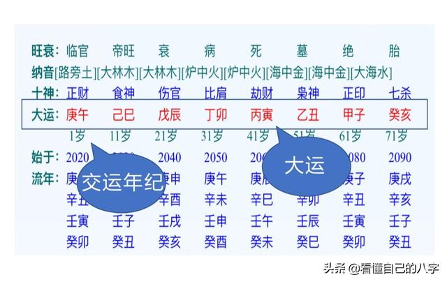 八字适合养什么花