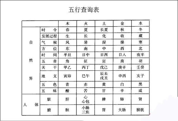 子八字属性