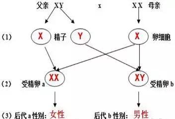 知道生辰八字怎么下感情咒