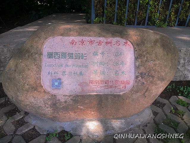 南京八字山公园门票