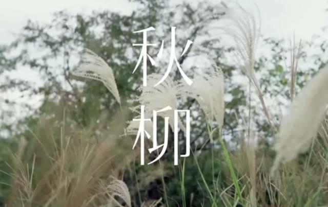 八字身弱适合拜观音