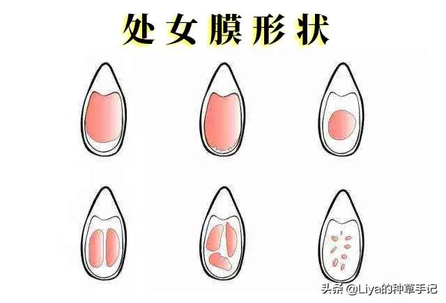 八字如何看性生活