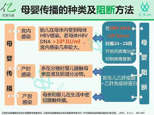 农历1978年四月初八生辰八字