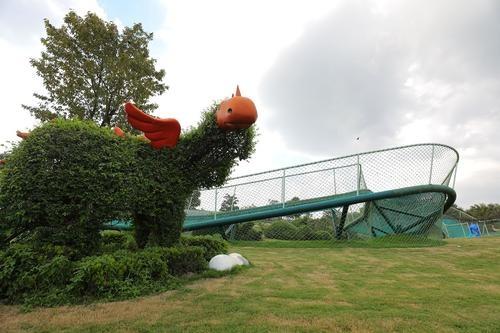 八字游辰山植物园