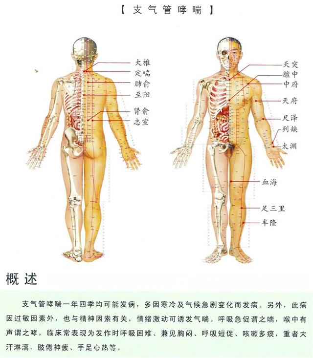 八字经络疗法