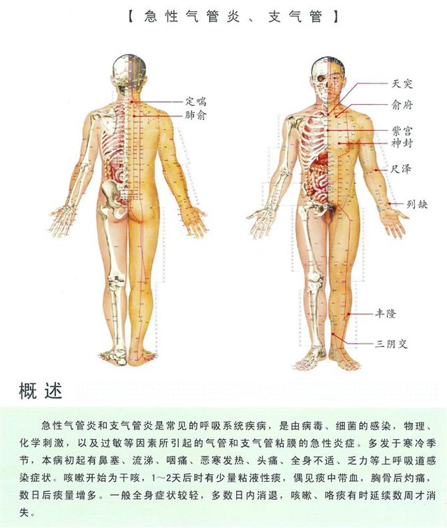 八字经络疗法