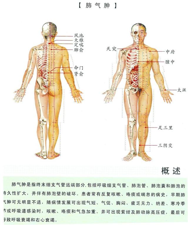 八字经络疗法