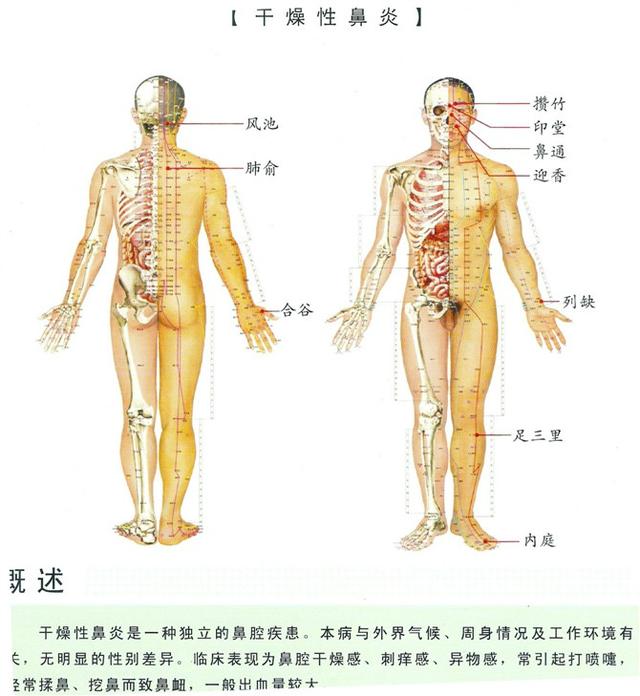 八字经络疗法