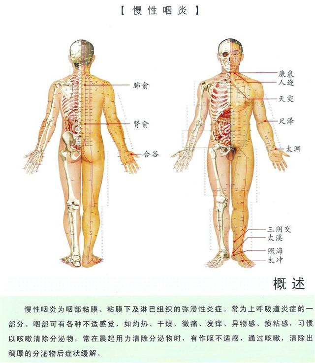 八字经络疗法