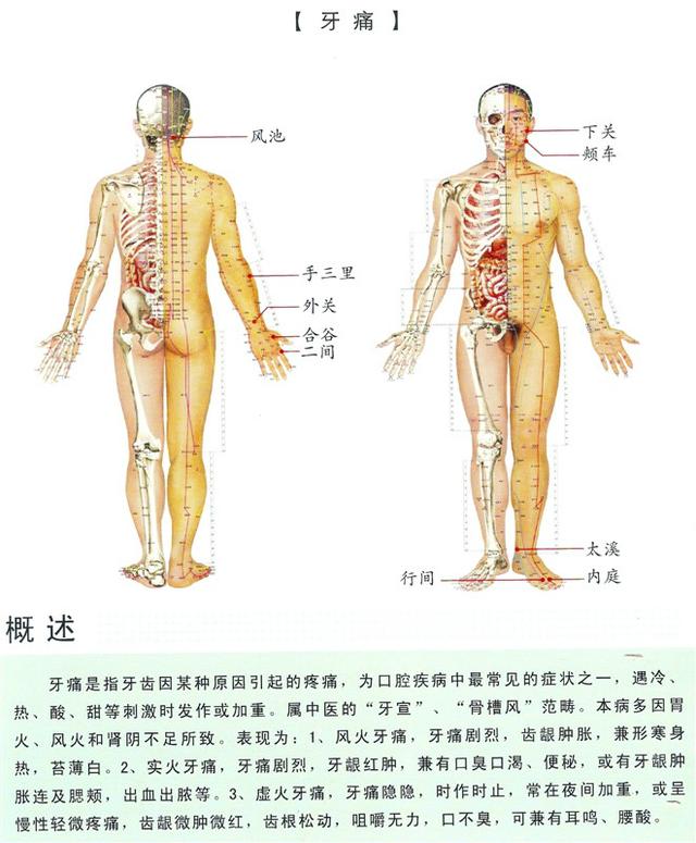 八字经络疗法