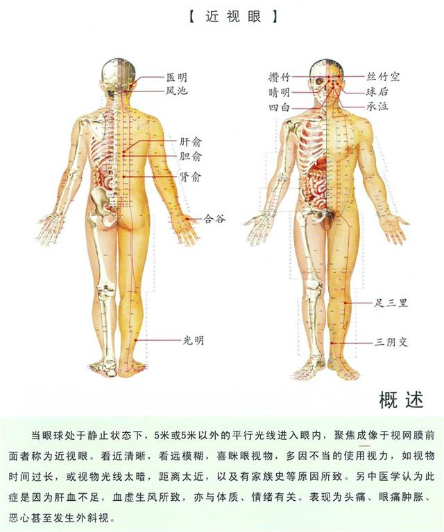 八字经络疗法