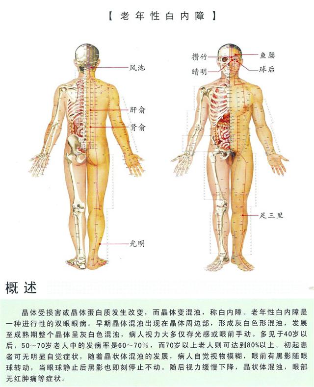 八字经络疗法