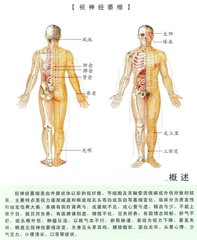 八字经络疗法