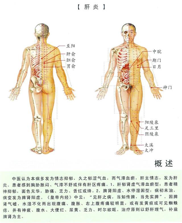 八字经络疗法