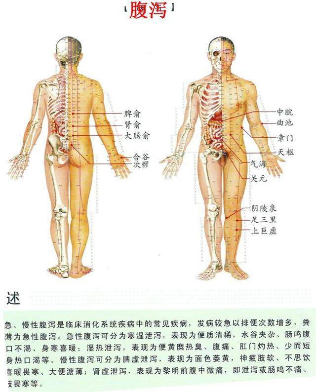 八字经络疗法