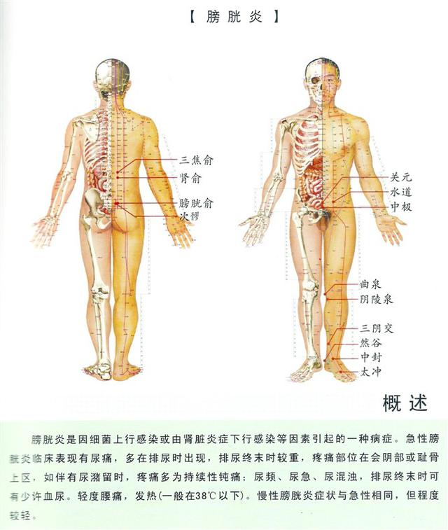 八字经络疗法