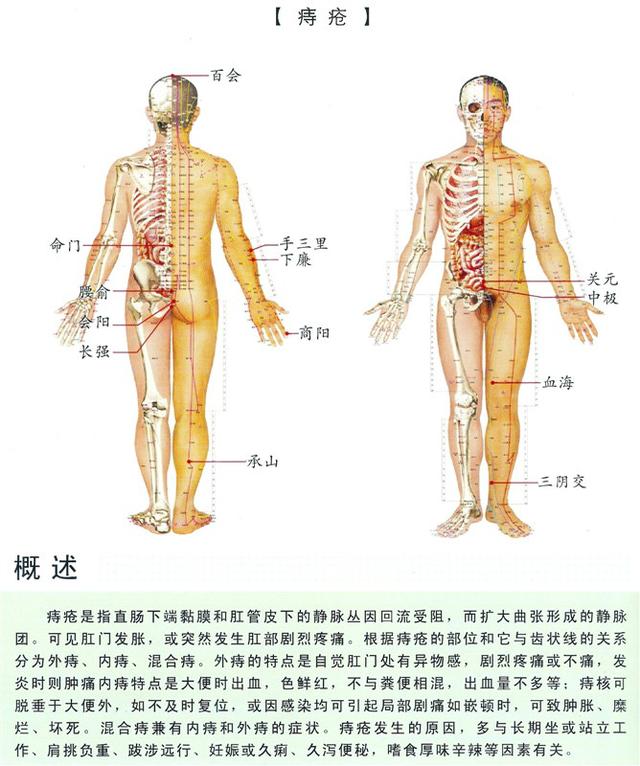 八字经络疗法