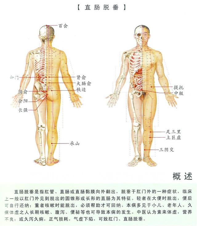 八字经络疗法