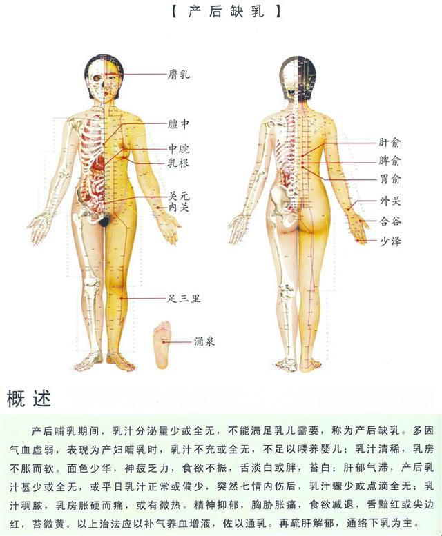 八字经络疗法