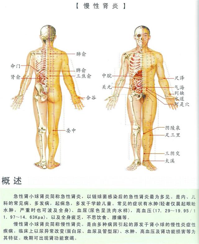 八字经络疗法