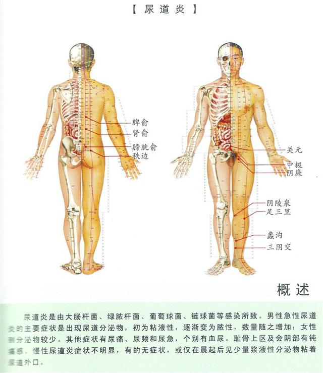 八字经络疗法