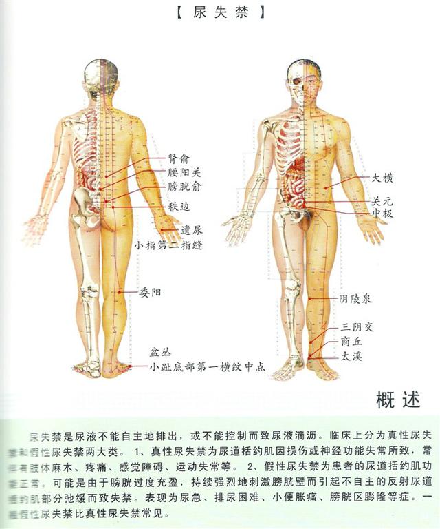 八字经络疗法