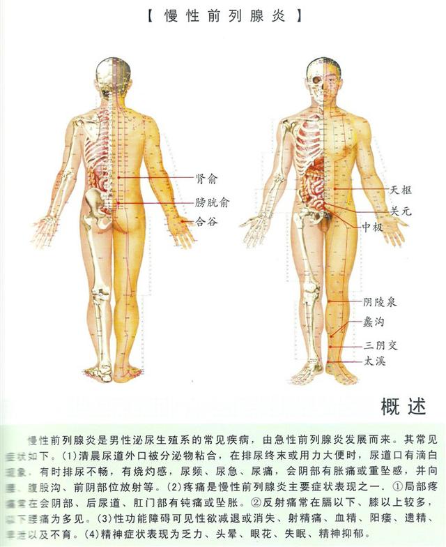 八字经络疗法