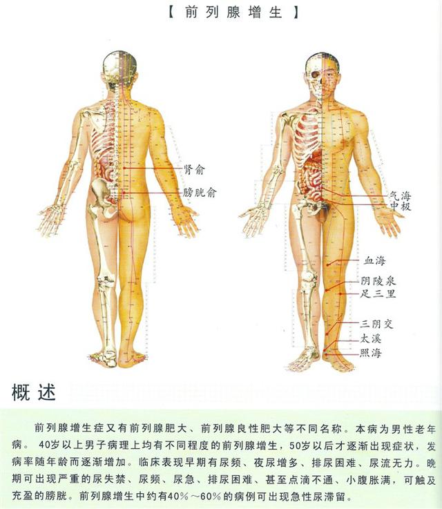 八字经络疗法