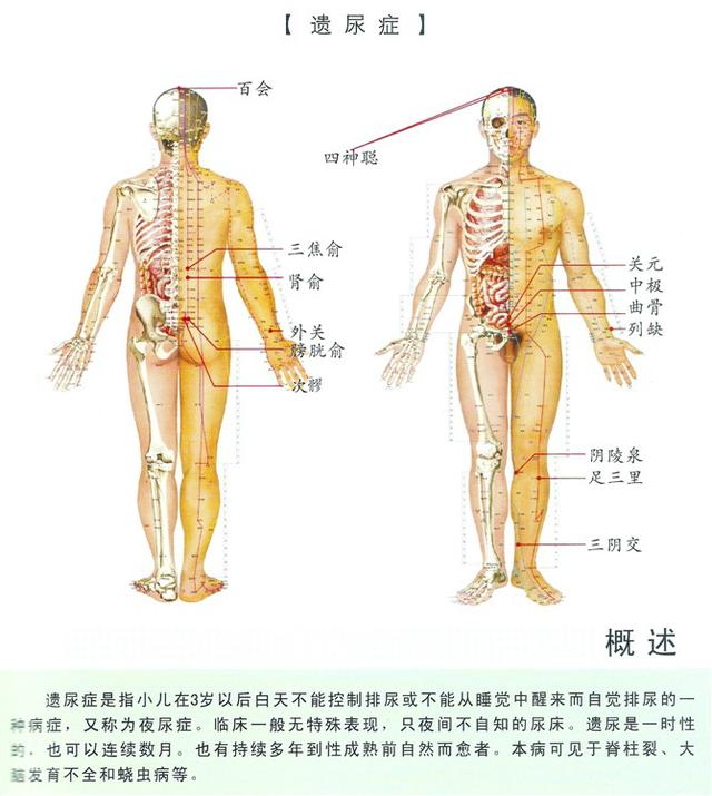 八字经络疗法