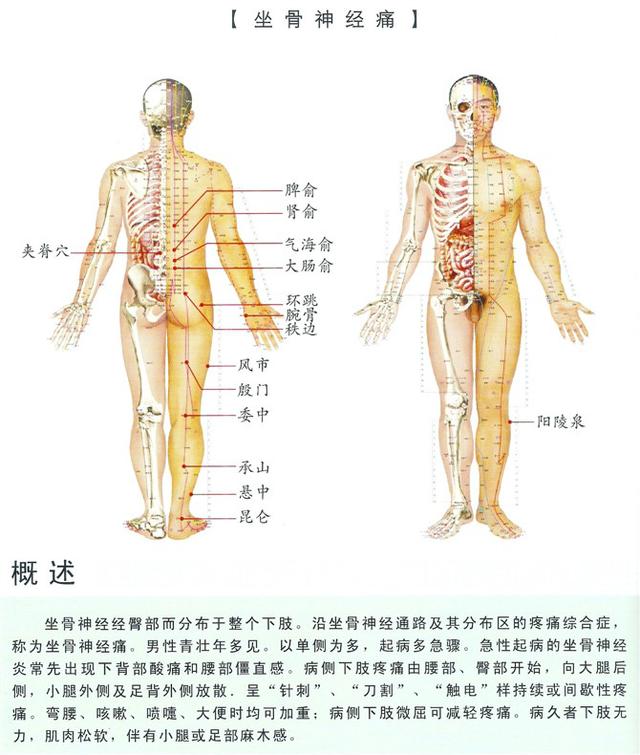 八字经络疗法