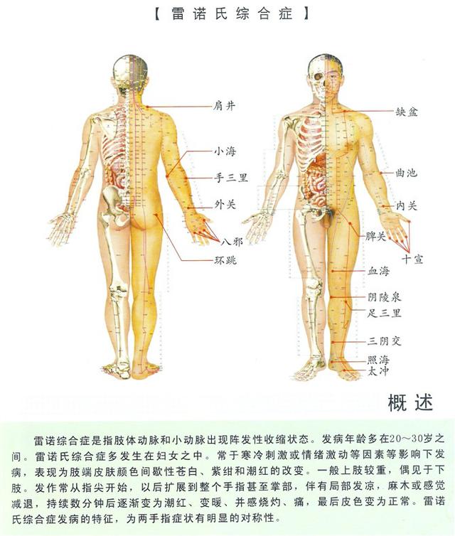 八字经络疗法