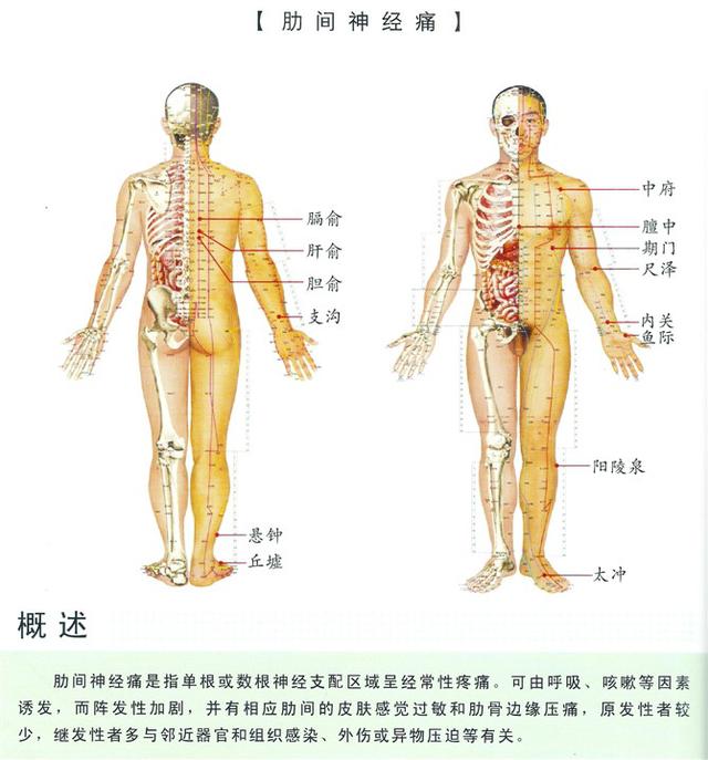 八字经络疗法