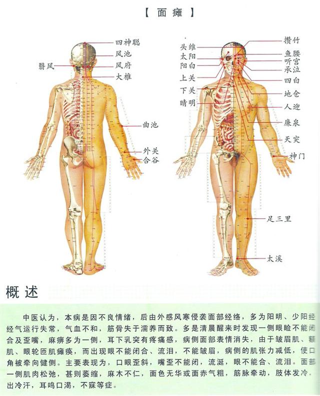 八字经络疗法